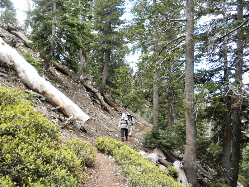 badenpowell710 013.jpg